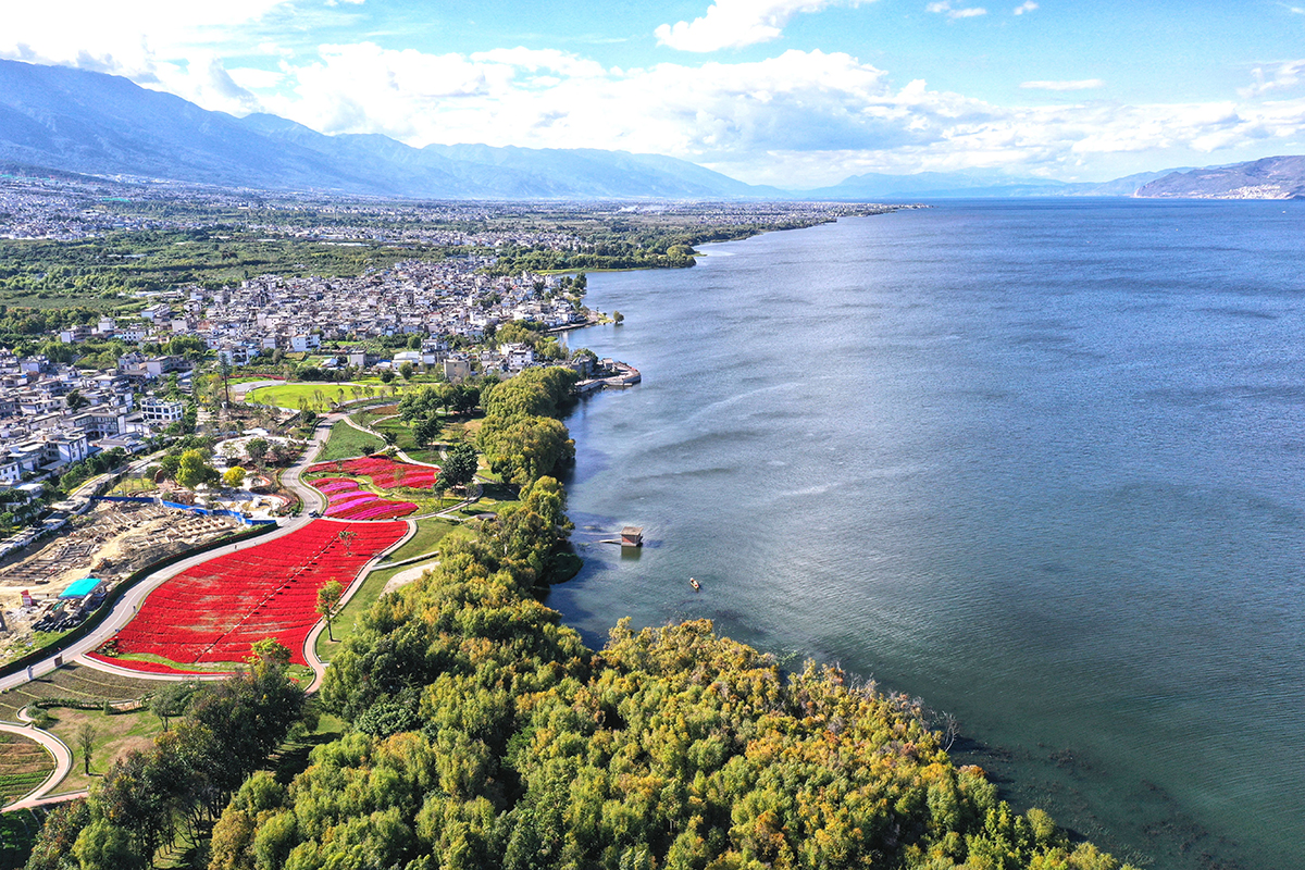 洱海生態廊道項目