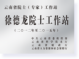 徐德龍院士工作站