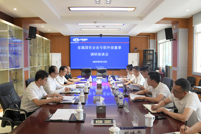 集團(tuán)專職外部董事調(diào)研三公司