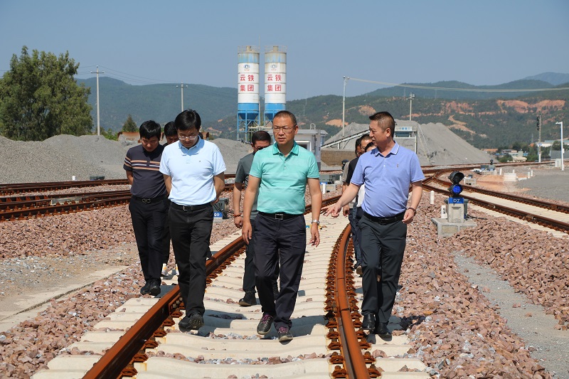 大興調查研究 | 楊國文到祥云財富鐵路專用線調研