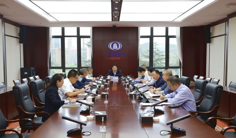 集團黨委會傳達學習習近平總書記在中央政治局常委會上的重要講話精神