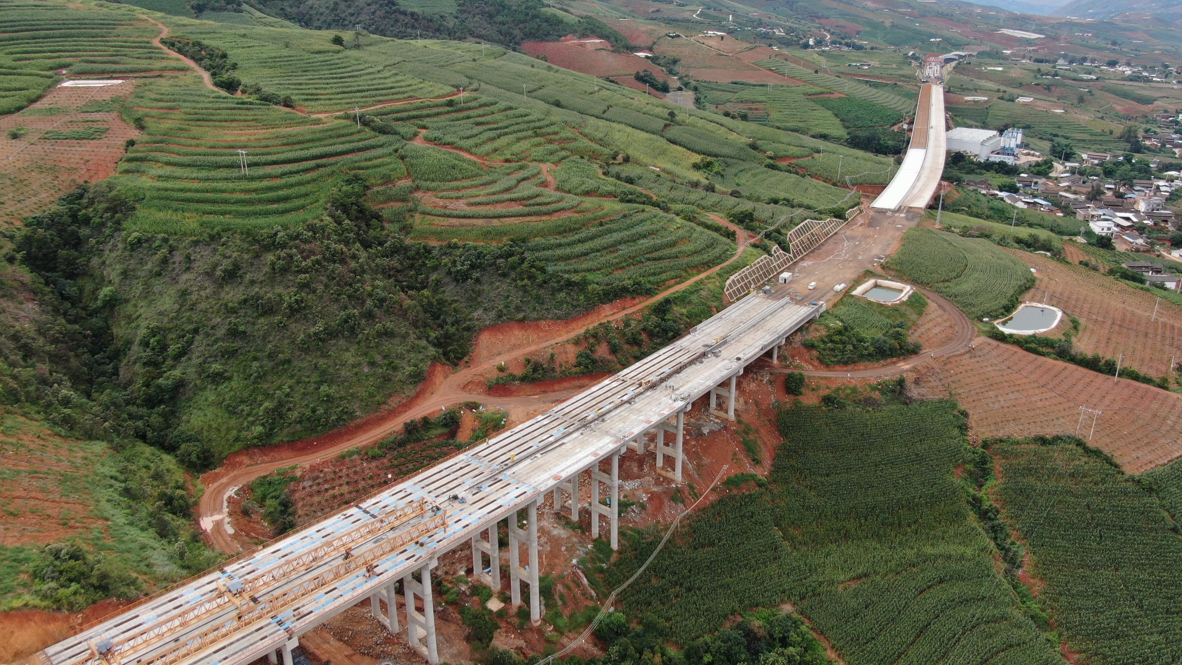 大興調查研究 | 楊國文調研賓鶴高速項目