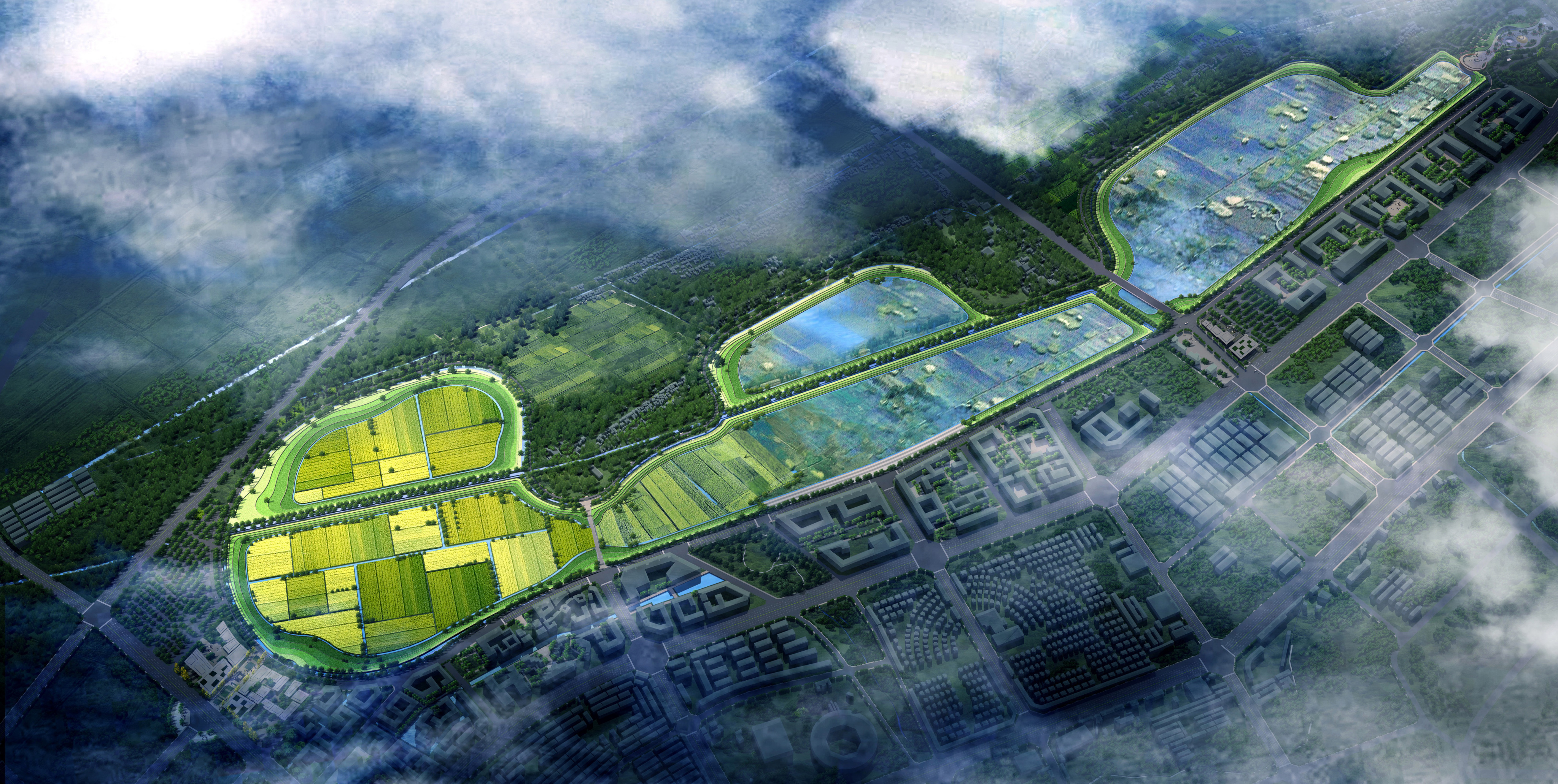 大興調查研究 | 楊國文調研會澤蔓海項目