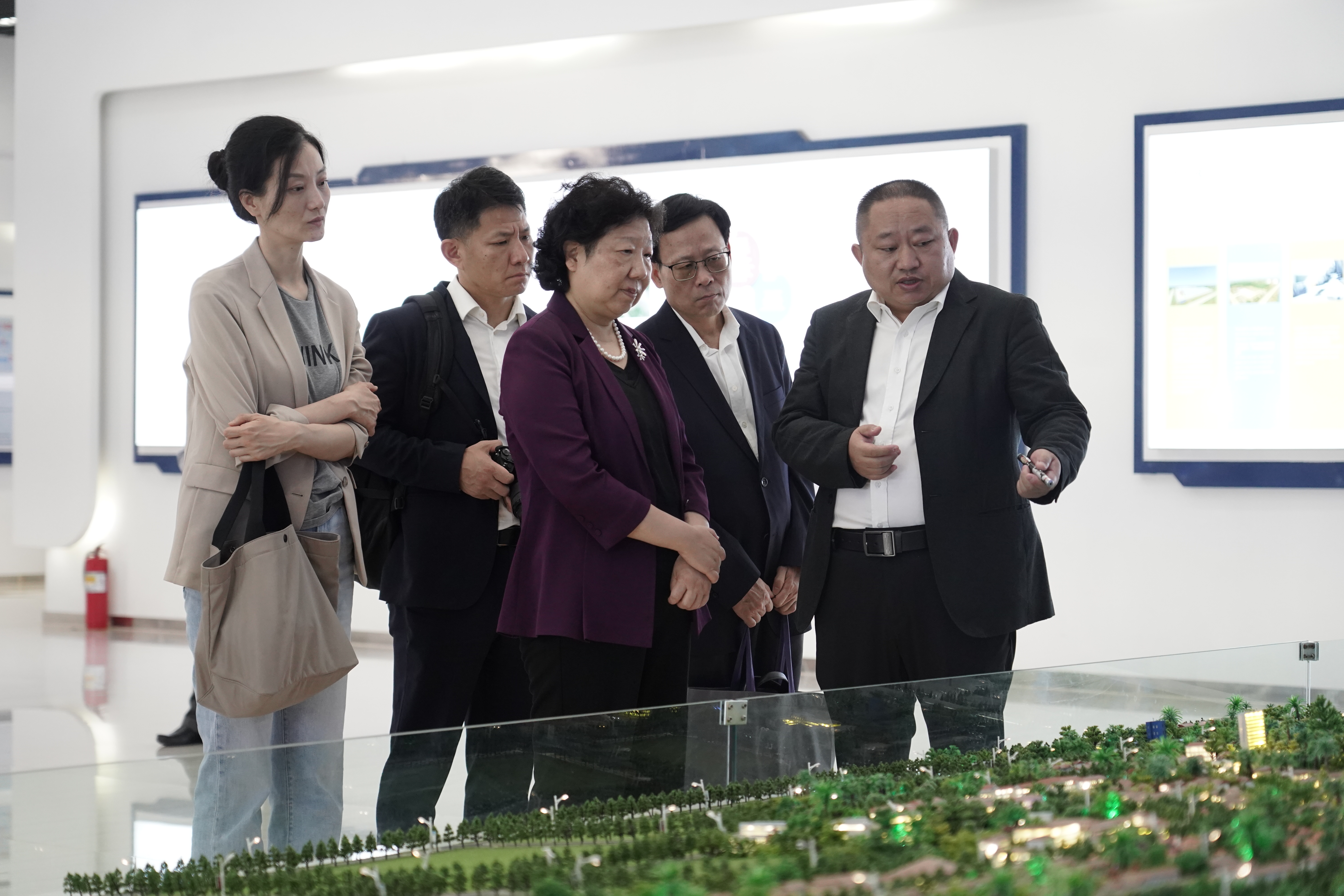 廣東省政協副主席李心調研萬象賽色塔綜合開發區