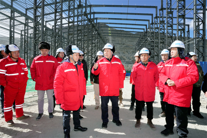 做傲雪綻放的格桑花！陳祖軍調研西藏區域重點項目 看望慰問一線干部職工
