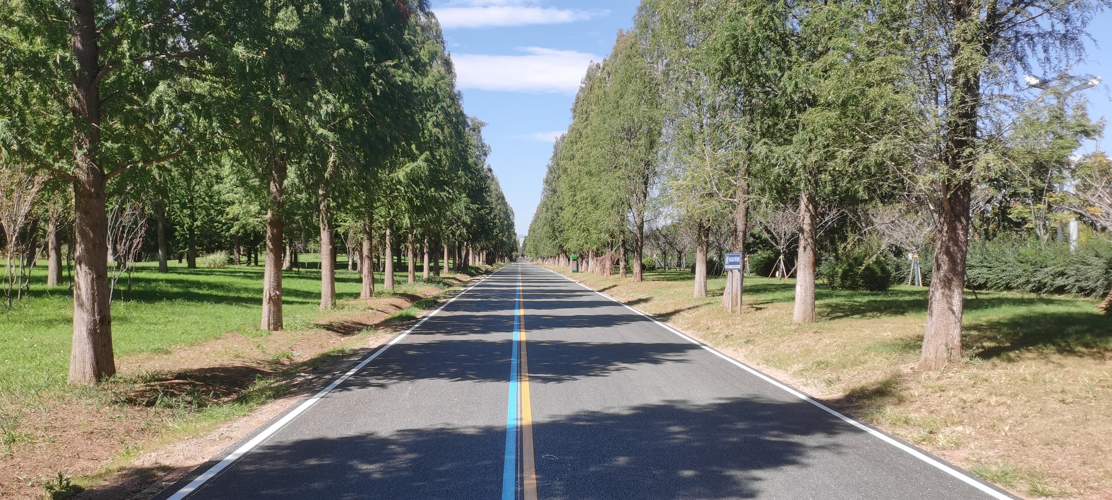 劉金榮與昆明市住建局局長陳紹波一同調研滇池綠道項目