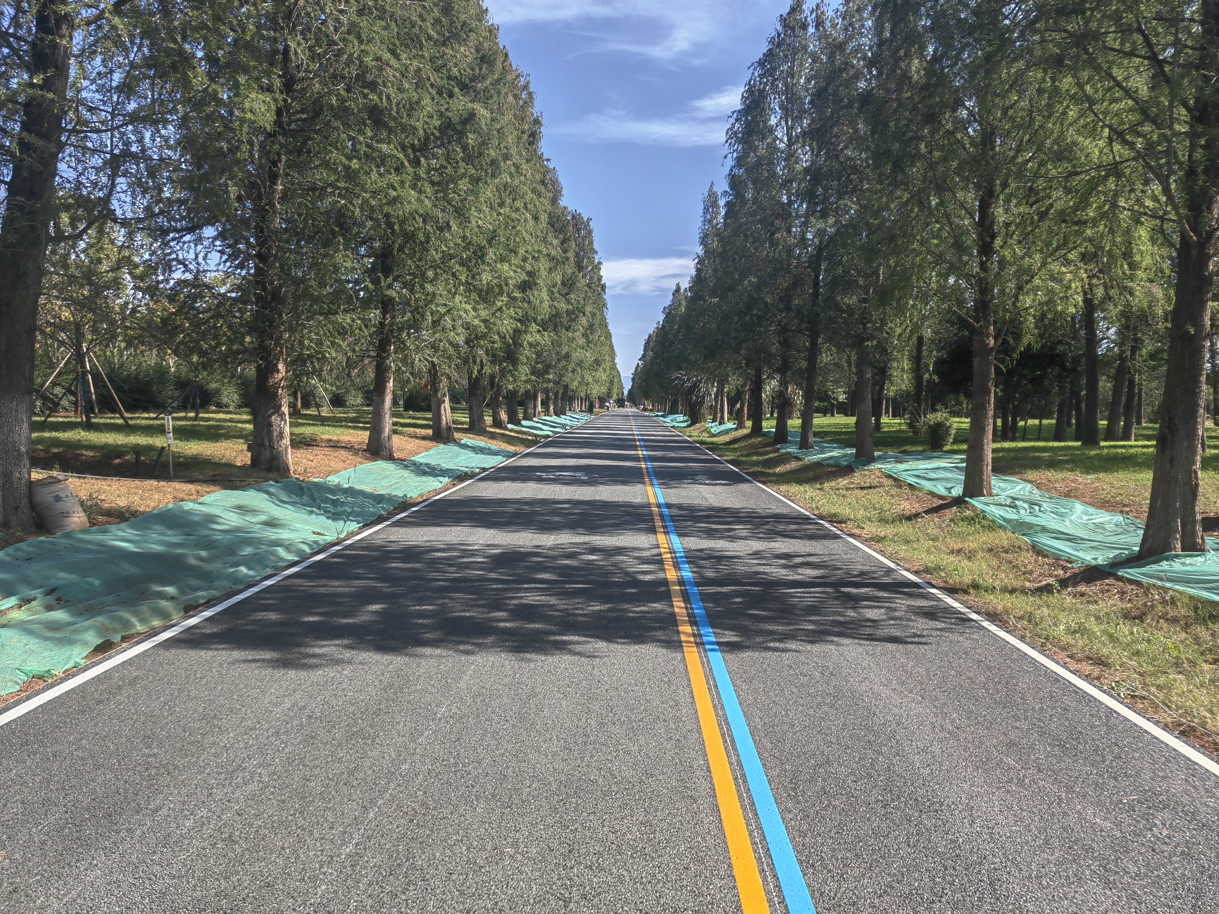 省住建廳總工程師汪巡調(diào)研昆明市滇池綠道項目