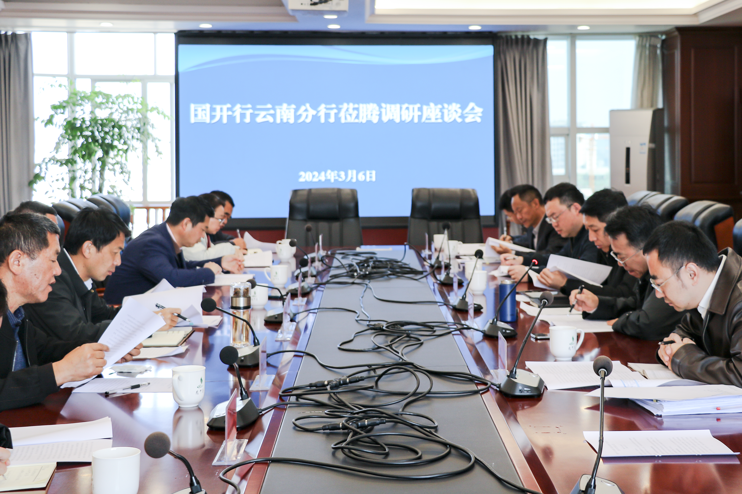 國開行云南省分行黨委書記、行長彭肇文調研騰沖市鄉村振興項目