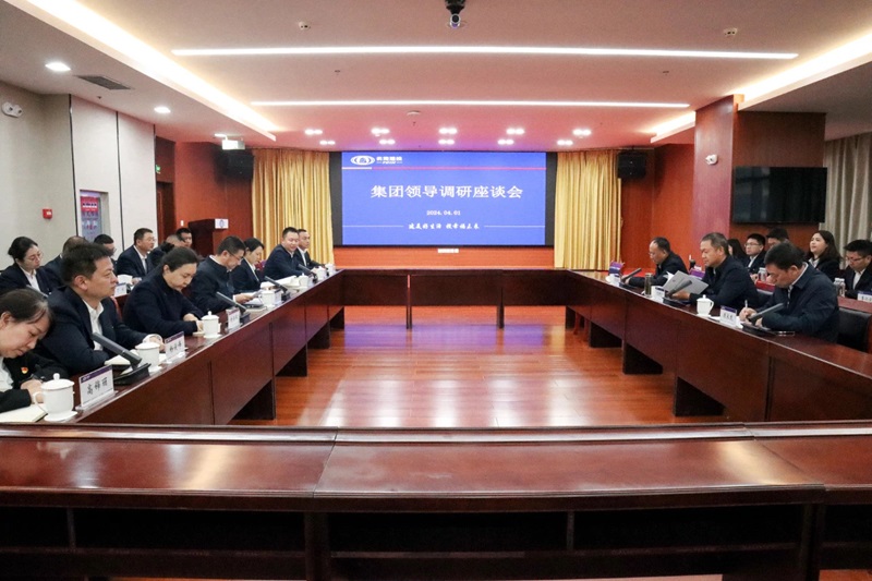 楊國文調(diào)研十五公司