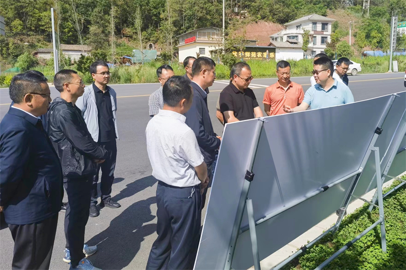 大理州副州長王武調研云永高速、鶴劍蘭高速項目