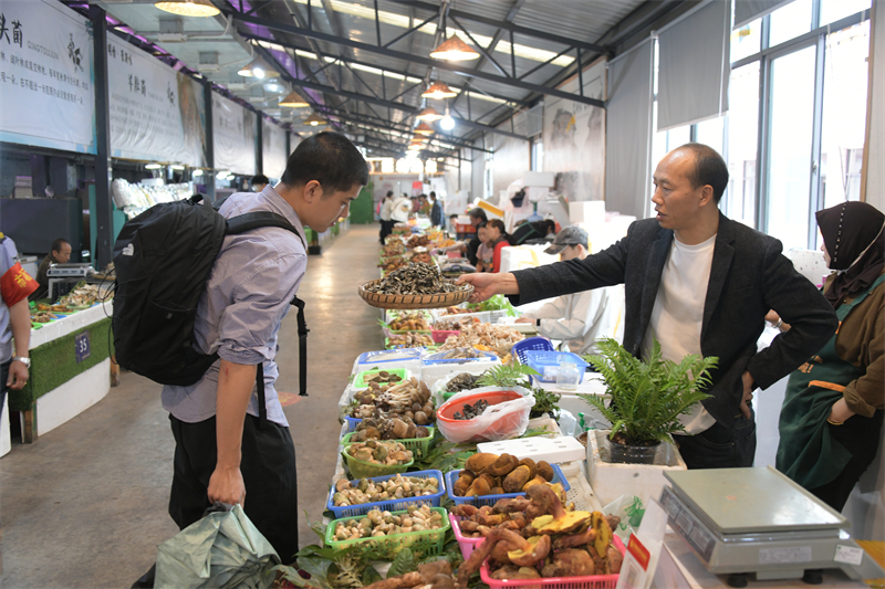 美好生活在云南丨吃在篆新之山珍美味