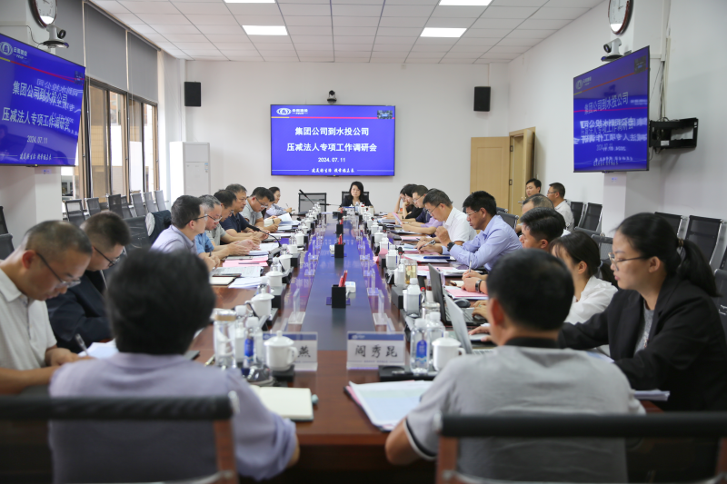 集團(tuán)專職外部董事調(diào)研水投公司