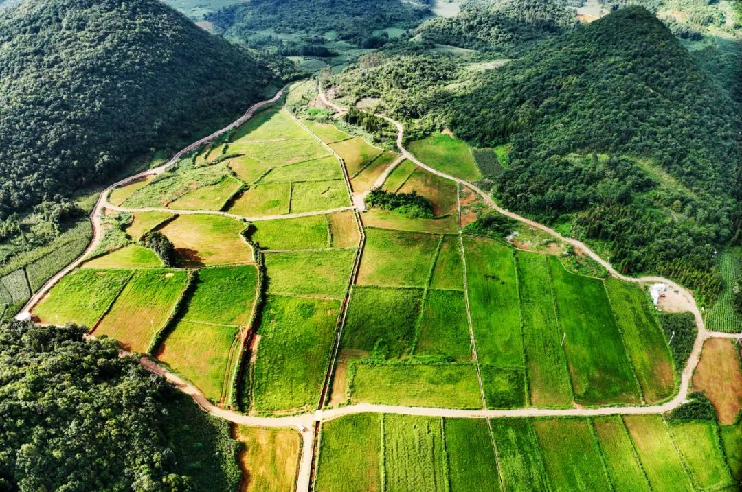 羅平縣土地提質改造項目：小山村里飄出稻花香