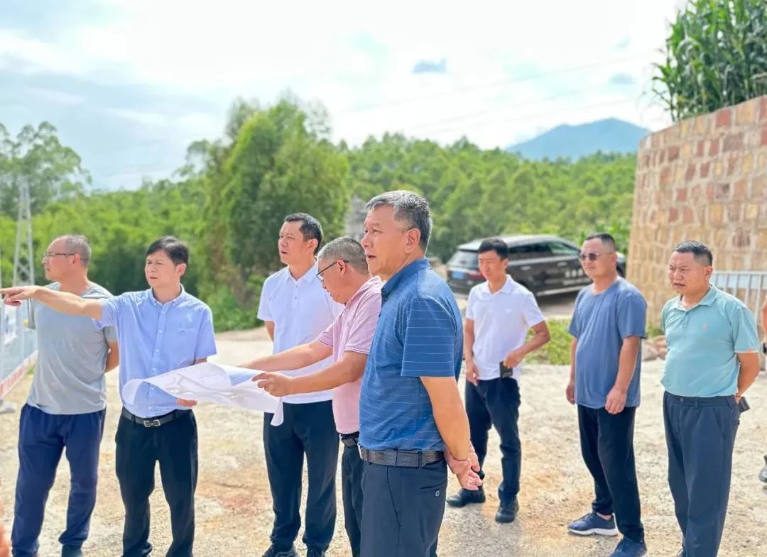 普洱市委副書記、市長王剛調研景谷林產工業(yè)園區(qū)項目