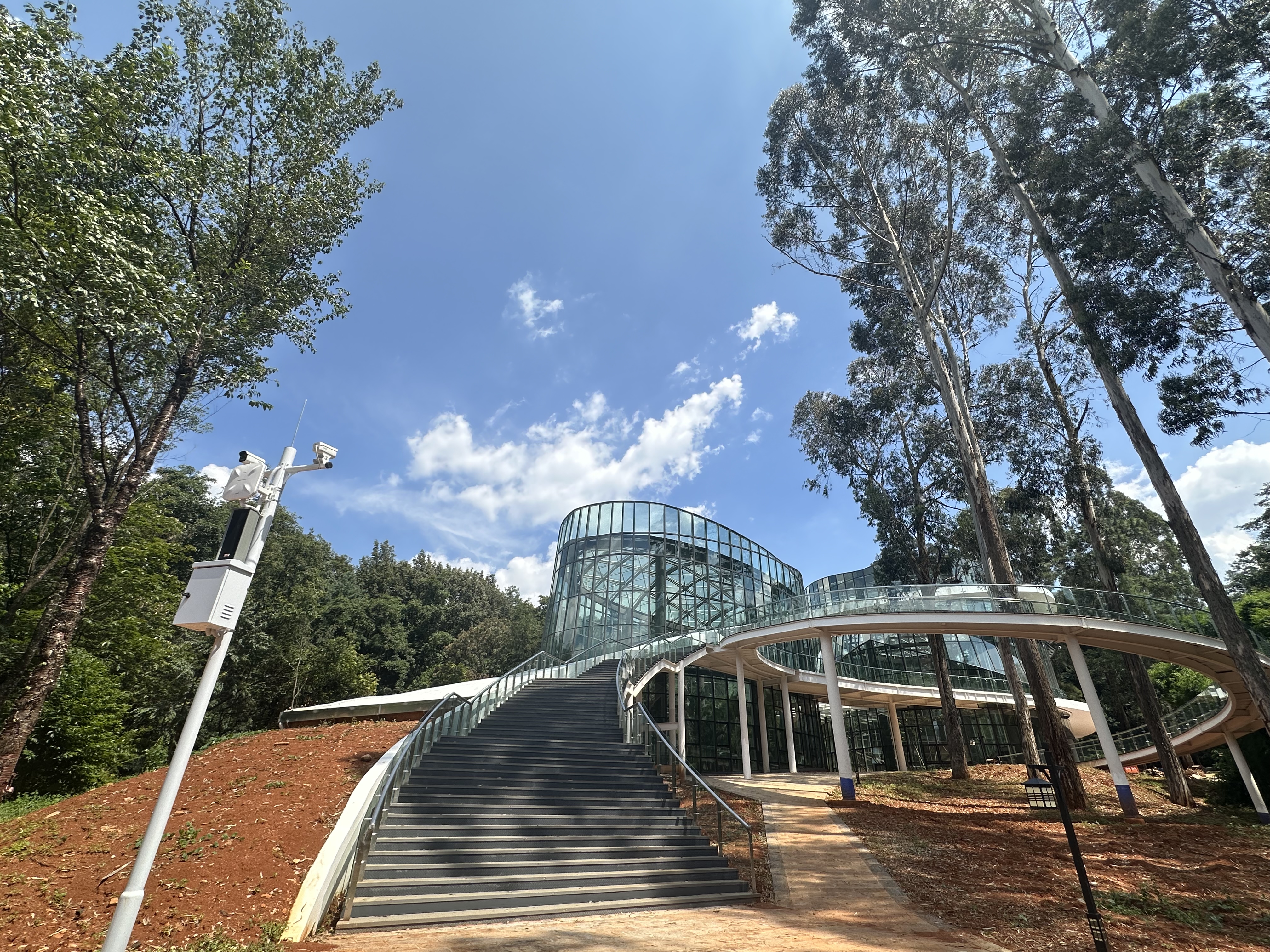 昆明樹木園提升改造項目通過竣工驗收