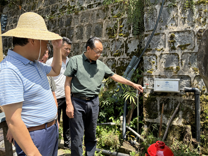 怒江州政協黨組成員、副主席楊周群調研怒江州農村供水保障項目