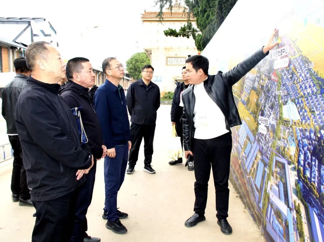 陳宙翔調研福保半島項目