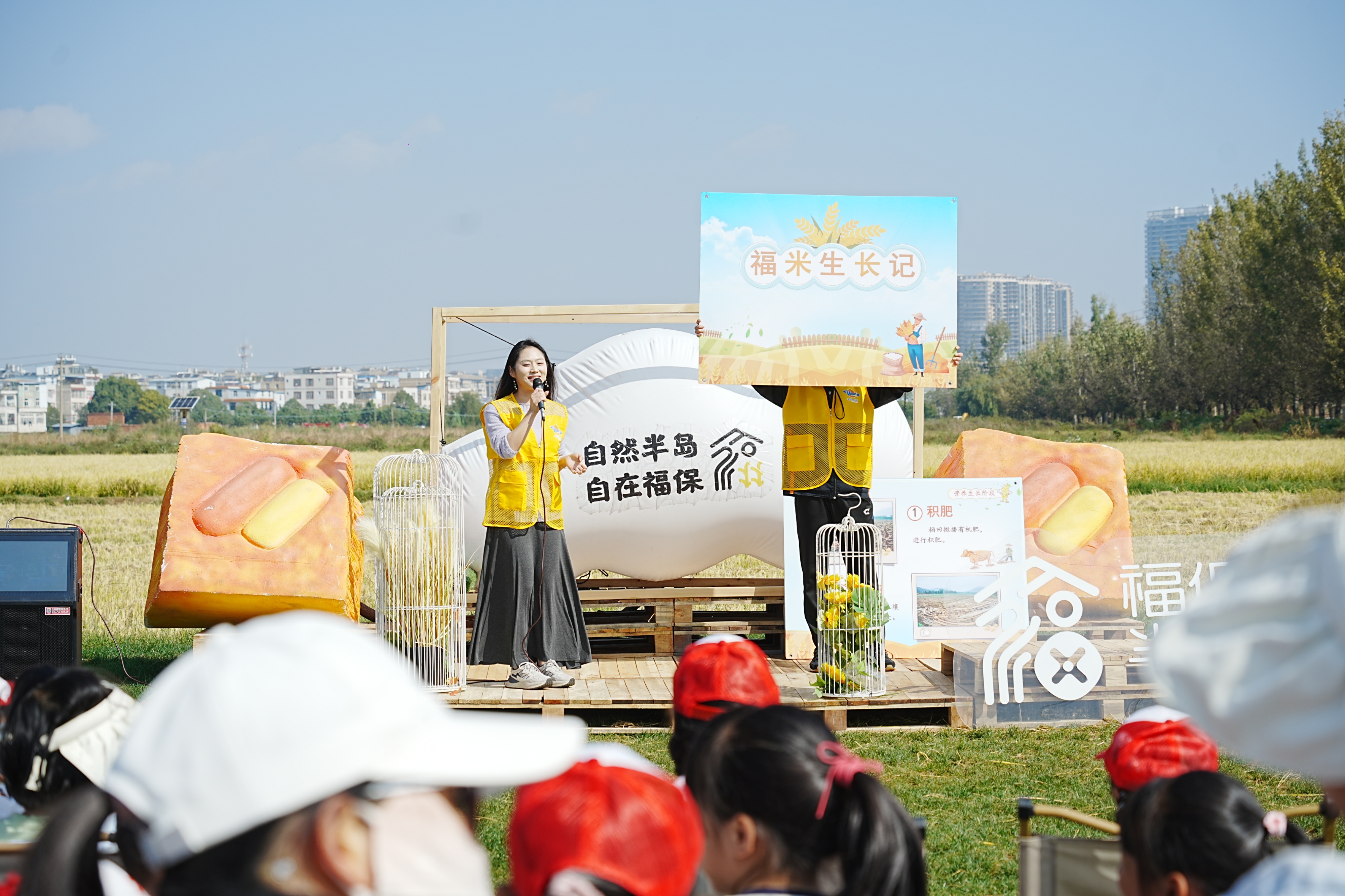 福保半島開展“稻米收割”研學體驗活動