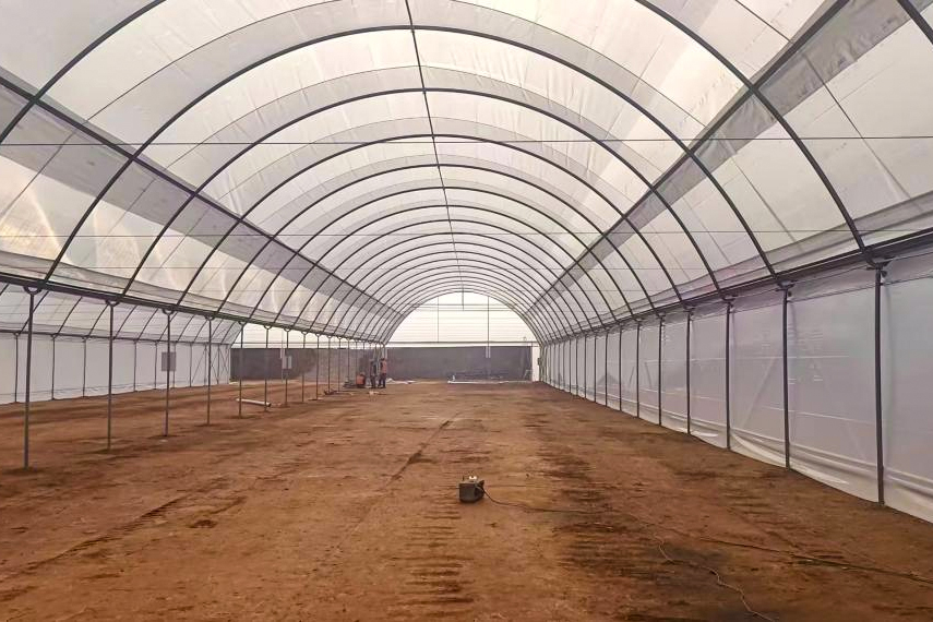 彌勒東風(fēng)平地片區(qū)農(nóng)業(yè)種植項(xiàng)目藍(lán)莓大棚樣板棚通過驗(yàn)收