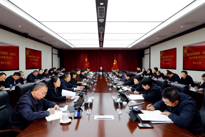 集團黨委召開2025年第3次會議