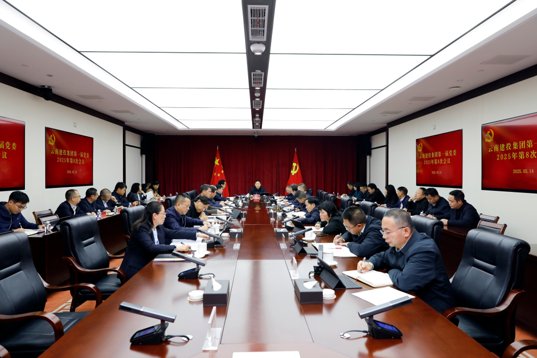 集團黨委召開2025年第8次會議 認真傳達學習習近平總書記重要講話精神和全國兩會精神