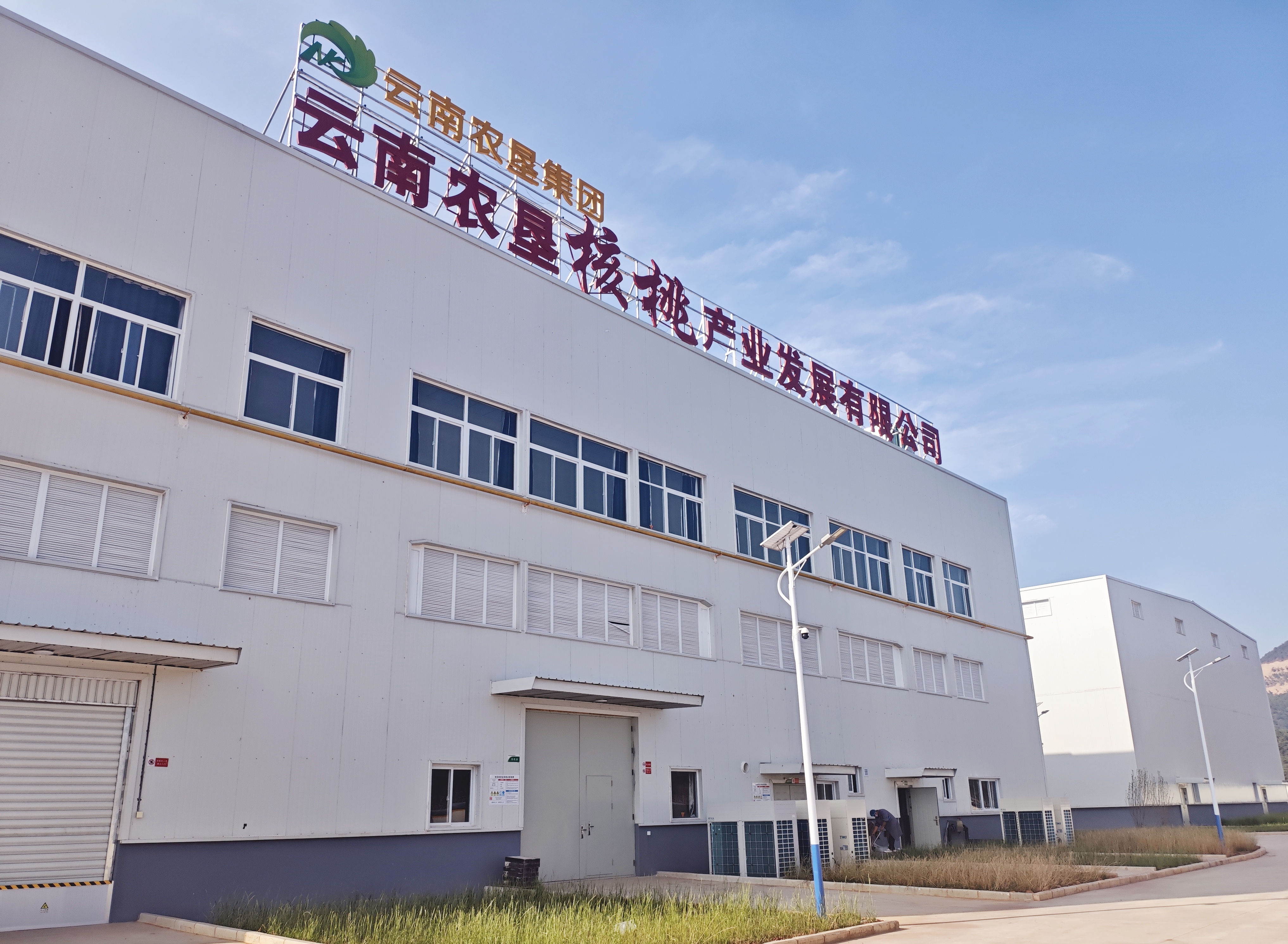 云南農墾大理核桃產業標準化加工項目（一期）順利竣工驗收