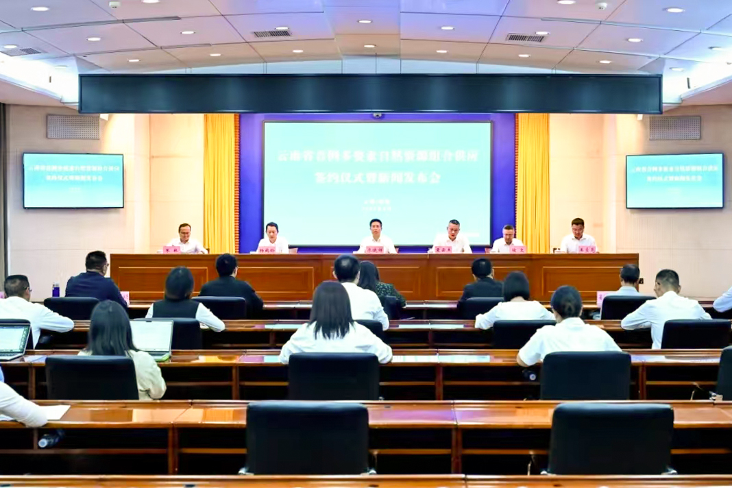 云南省首例多要素自然資源資產(chǎn)組合供應試點項目落地東風韻