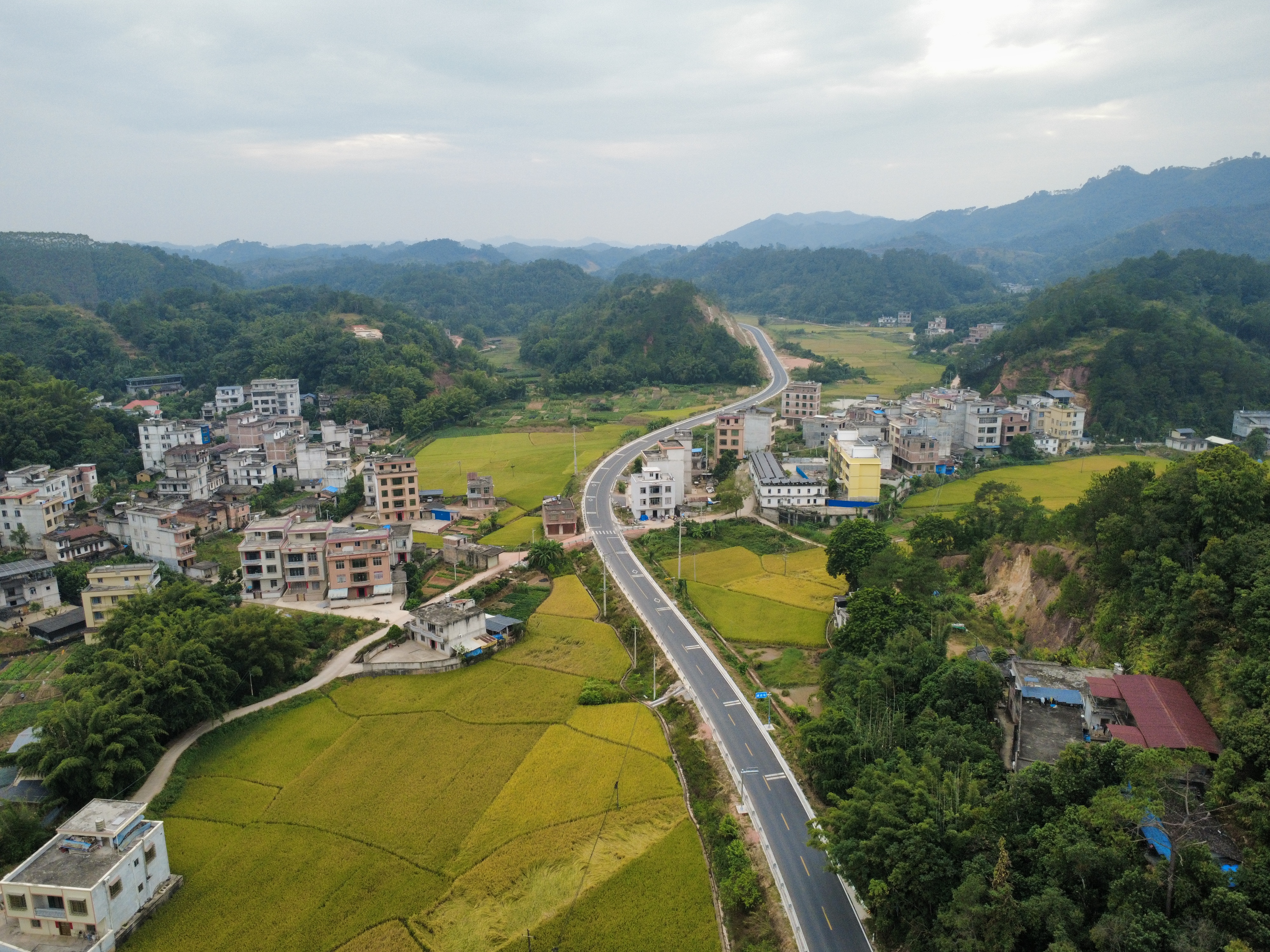 S310岑溪糯垌至平南四靈公路項目全線通車